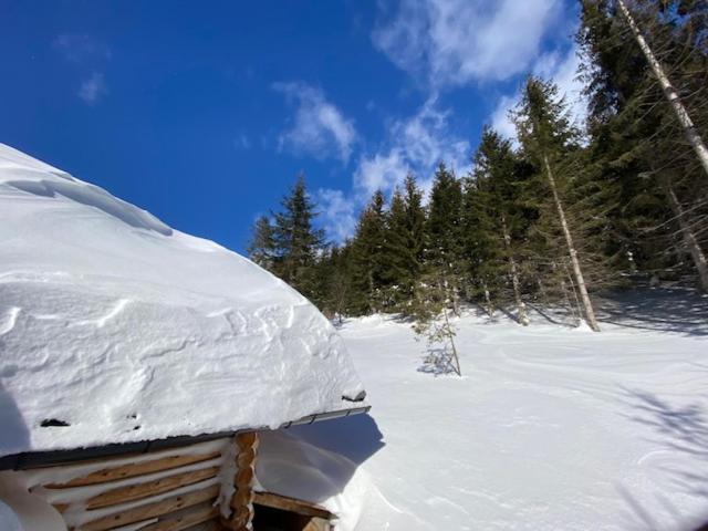 Alpenchalet Grabner Alm Am Praebichl Almhauser Exterior foto